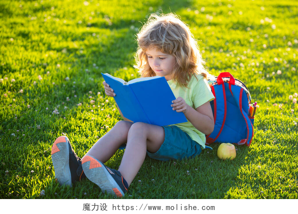 坐在草坪上看书的女孩一本关于草地背景的漂亮的童书.孩子们在公园看书。学习概念.